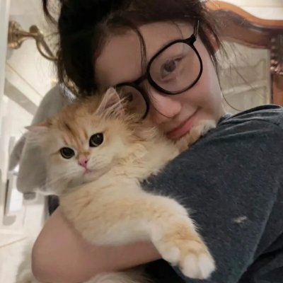 猫的葬礼
