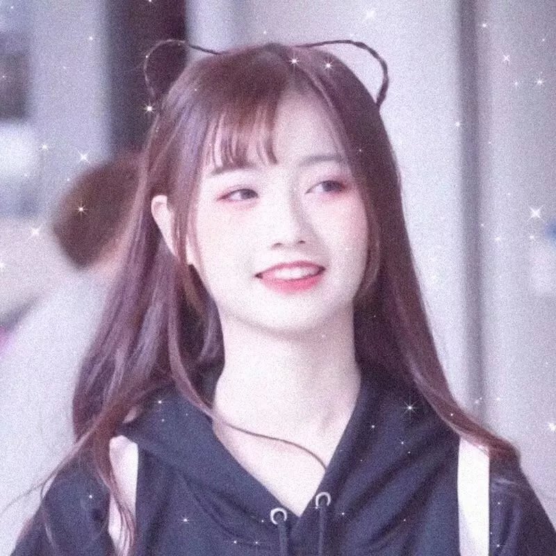 蒂科与鲨鱼